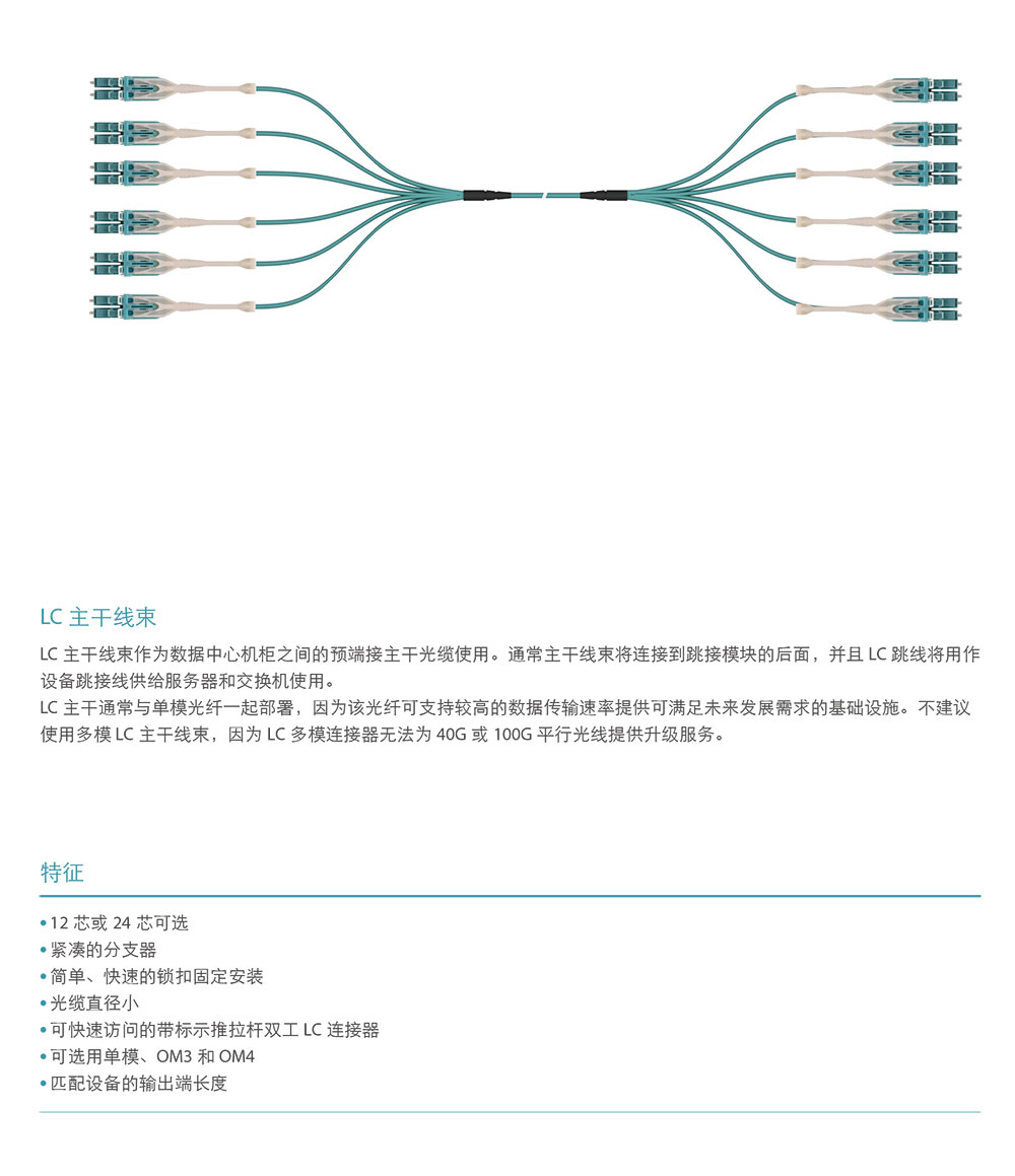 LC主干光纜線束.jpg